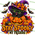 Stay Spooky My Friends — Black Cat Witch PNG
